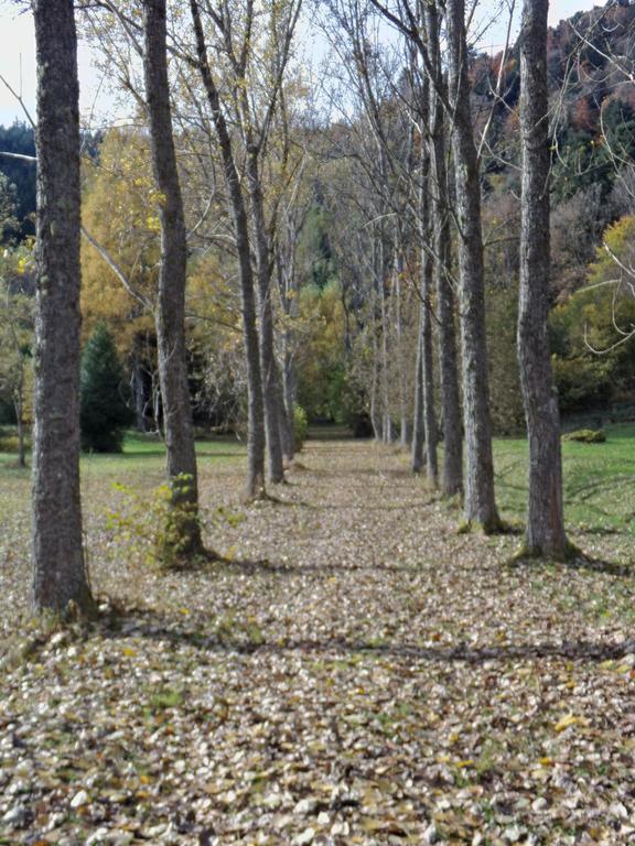 Hotel-Spa & Restaurant Logis Domaine Langmatt Murbach Εξωτερικό φωτογραφία