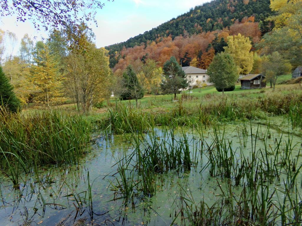 Hotel-Spa & Restaurant Logis Domaine Langmatt Murbach Εξωτερικό φωτογραφία