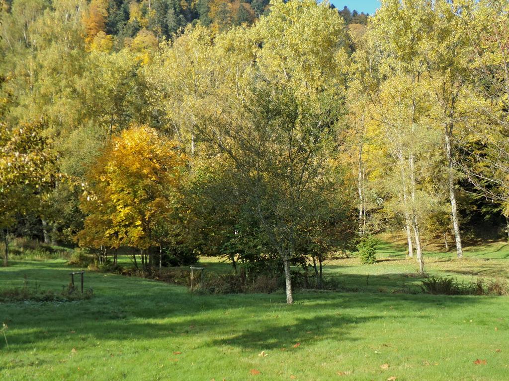 Hotel-Spa & Restaurant Logis Domaine Langmatt Murbach Εξωτερικό φωτογραφία