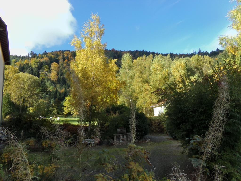 Hotel-Spa & Restaurant Logis Domaine Langmatt Murbach Εξωτερικό φωτογραφία