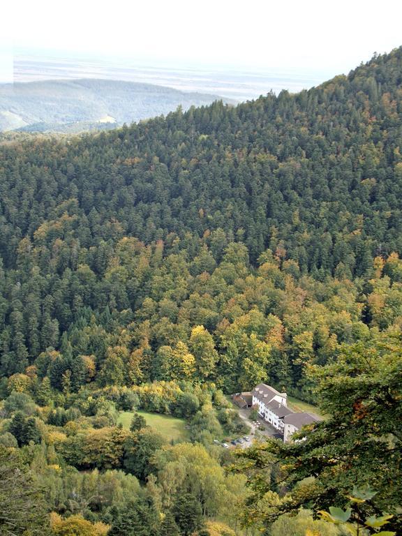 Hotel-Spa & Restaurant Logis Domaine Langmatt Murbach Εξωτερικό φωτογραφία