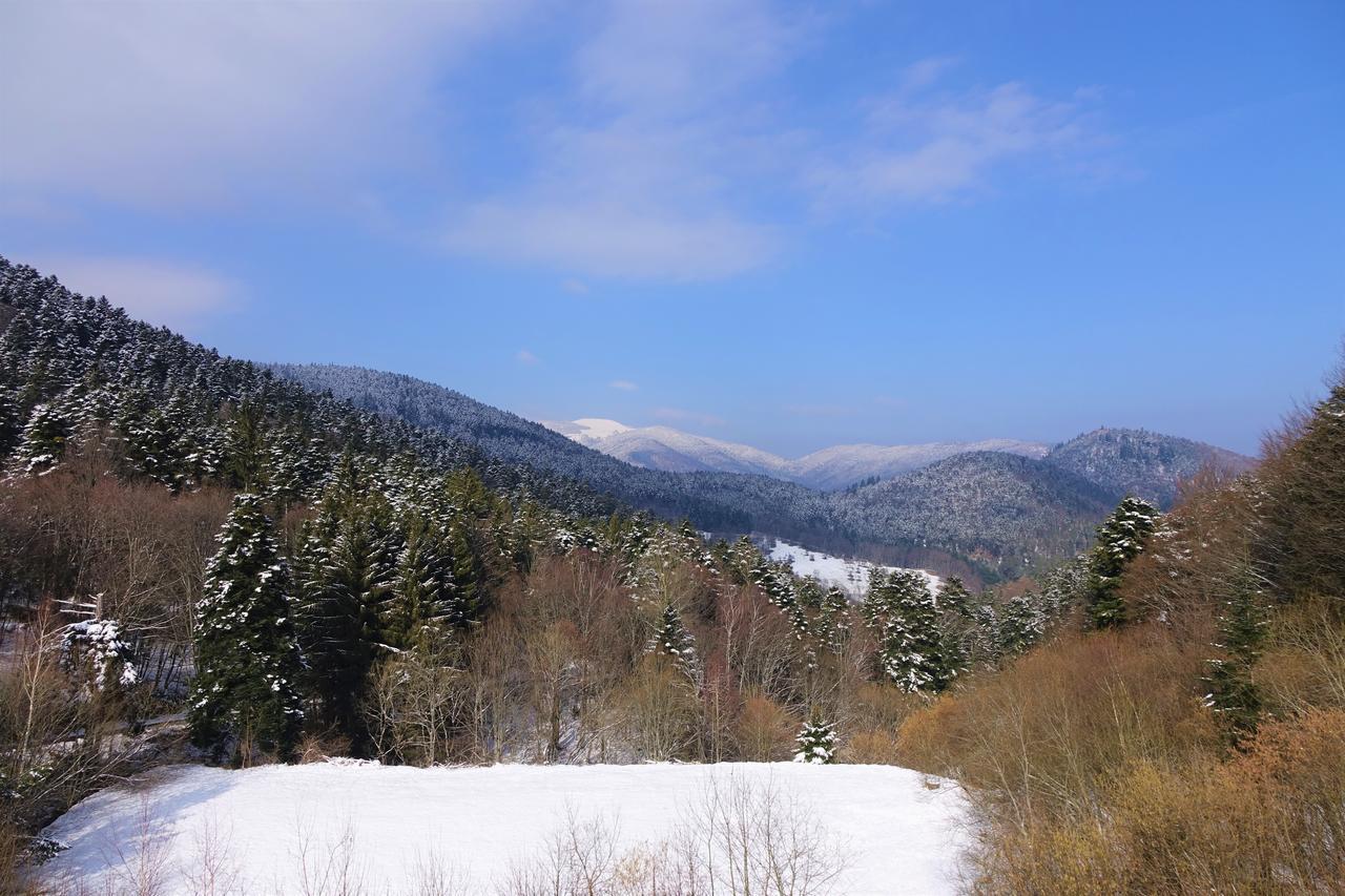Hotel-Spa & Restaurant Logis Domaine Langmatt Murbach Εξωτερικό φωτογραφία